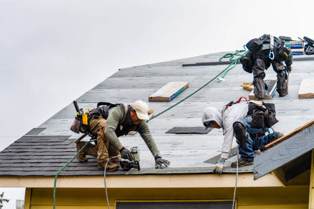 Professional Storm Damage Roof Repair technician working in Sangerfield, NY